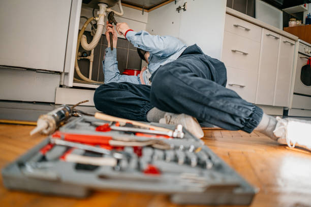 Best Plumbing Repair Near Me  in Park Ridge, IL