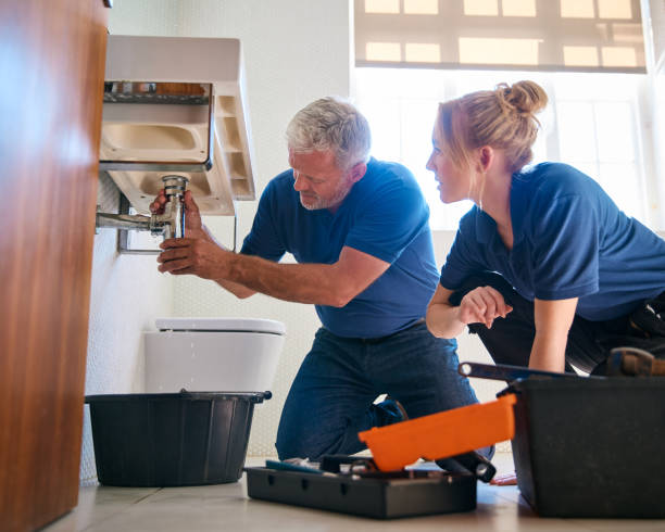 Best Pipe Repair Near Me  in Park Ridge, IL